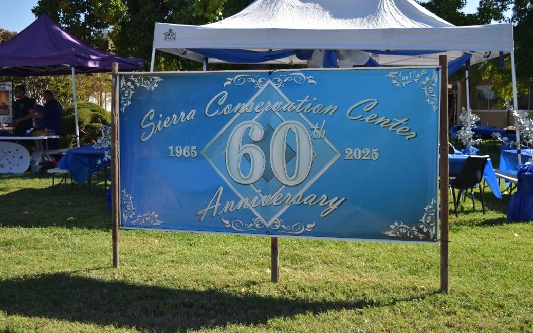 SCC 60th anniversary banner.