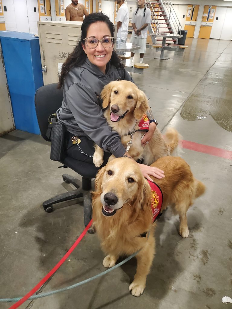 Golden retriever therapy dogs visit CSP-Solano - Inside CDCR
