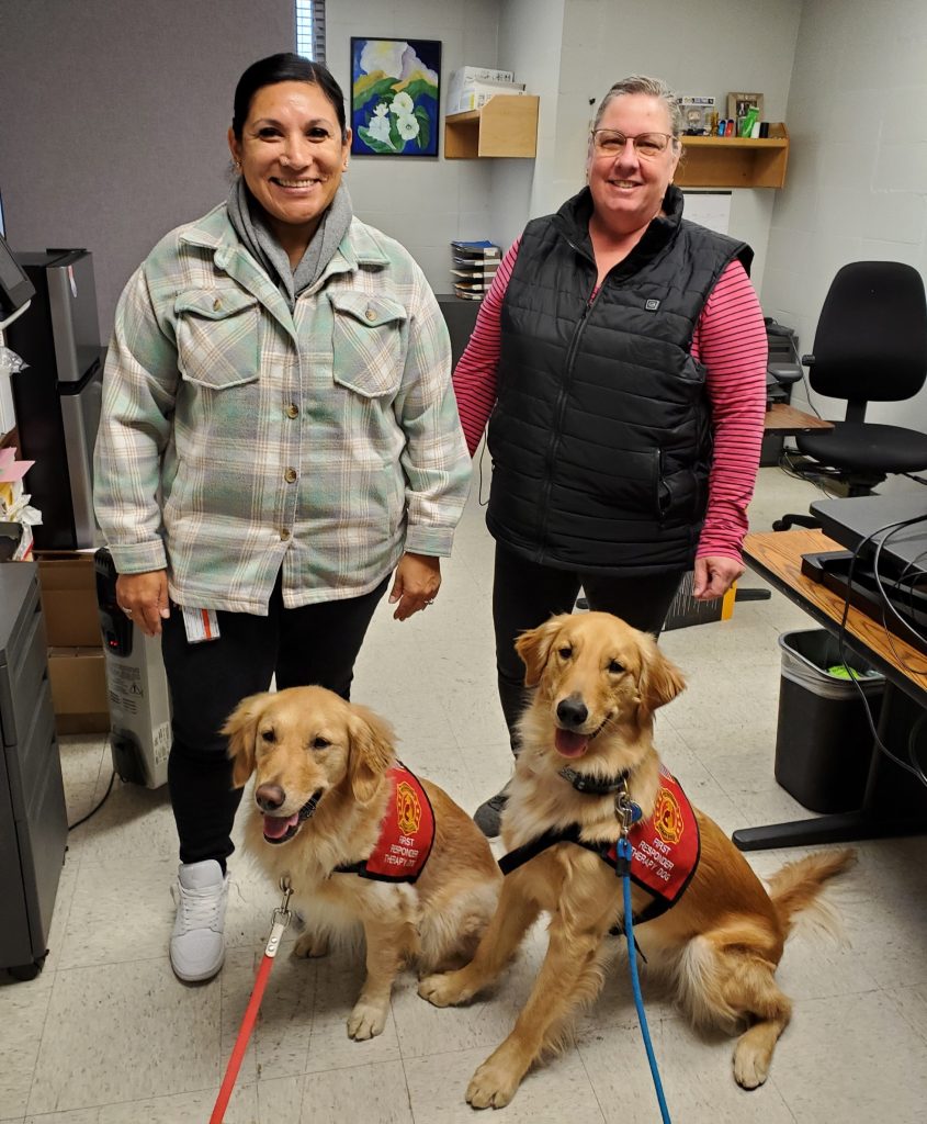 Golden retriever therapy dogs visit CSP-Solano - Inside CDCR