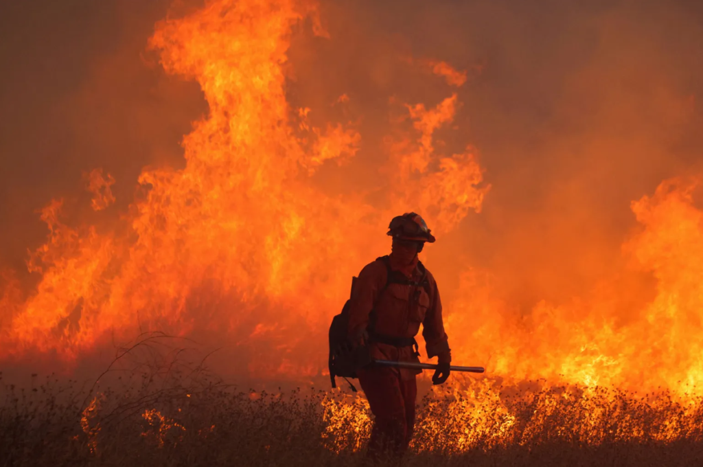A California Department of Corrections and Rehabilitation incarcerated firefighter works as the Hughes Fire burns in Castaic Lake on Jan. 22, 2025. Photo by David Swanson, Reuters