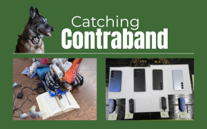 K-9 teams found contraband at Gabilan Conservation Camp and Wasco State Prison-Reception Center including drugs and phones.