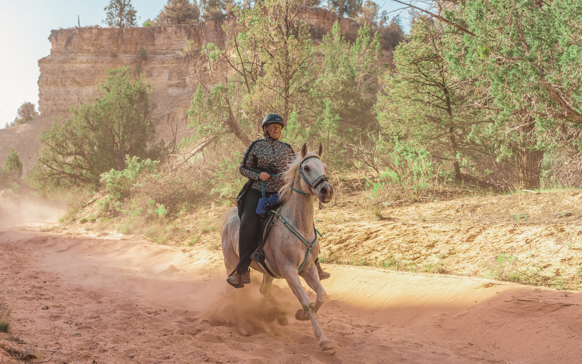 CDCR Assistant Principal Vera Valdivia-Abdallah rides a horse through a canyon during an endurance ride.