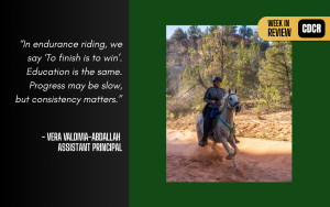 week in review feature image