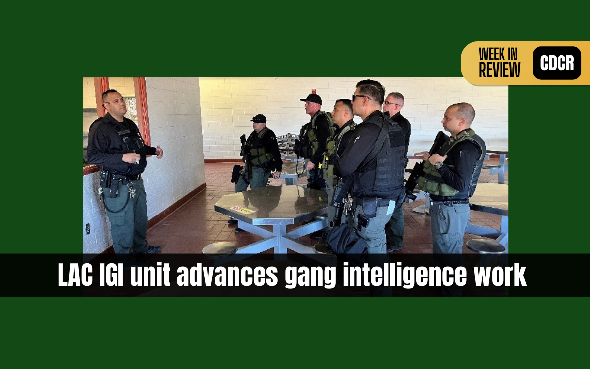 WIR feature image, LAC gang intelligence unit photo