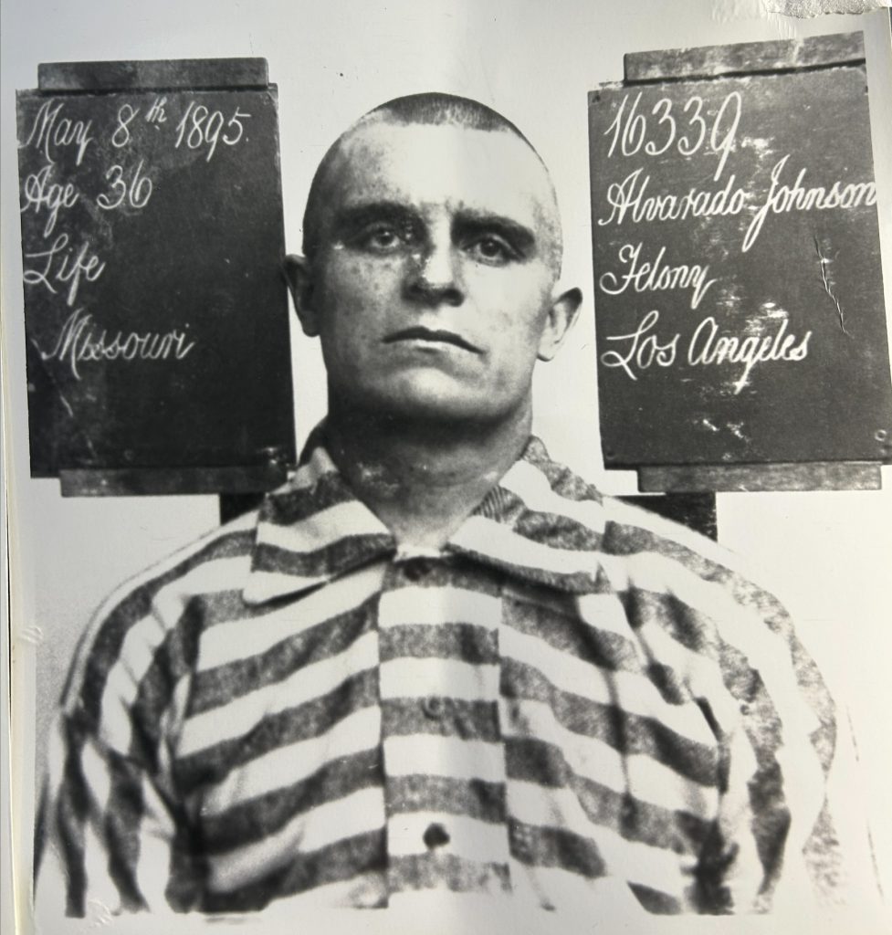 Details of Alvarado Johnson, 1895.