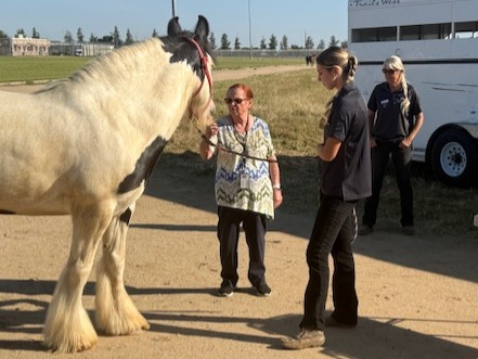 Equine Therapy staff with a horse at CCWF for a mental health event for staff.