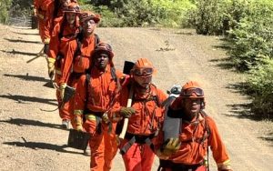 Incarcerated hand crews do a four-mile hike in full gear during the Eel River fire preparedness exercise.