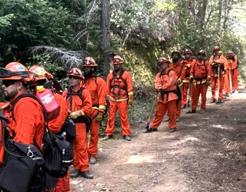 Crews prepare to cut through thick underbrush.
