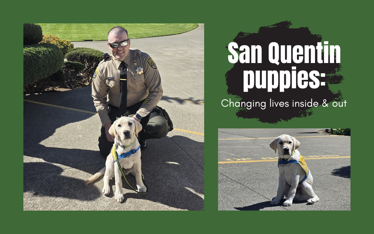 A correctional officer with a dog and a photo of a puppy with the words San Quentin puppies: Changing lives inside & out.