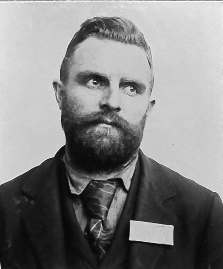 16339 Alvarado Johnson, 1895, San Quentin mug book.