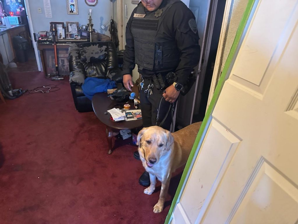 A K-9 helps search a house in Los Angeles County during a parole operation.