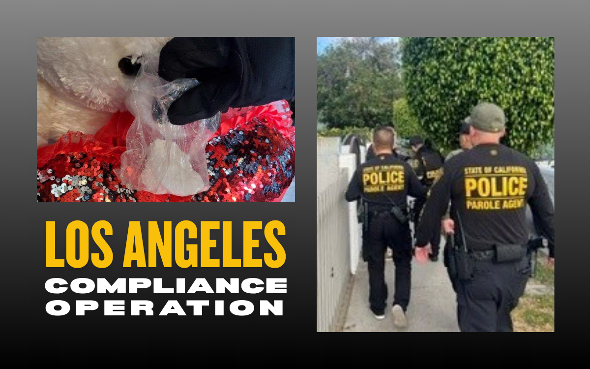 Parole operation featured image shows parole agents and drugs they recovered from a stuffed animal.