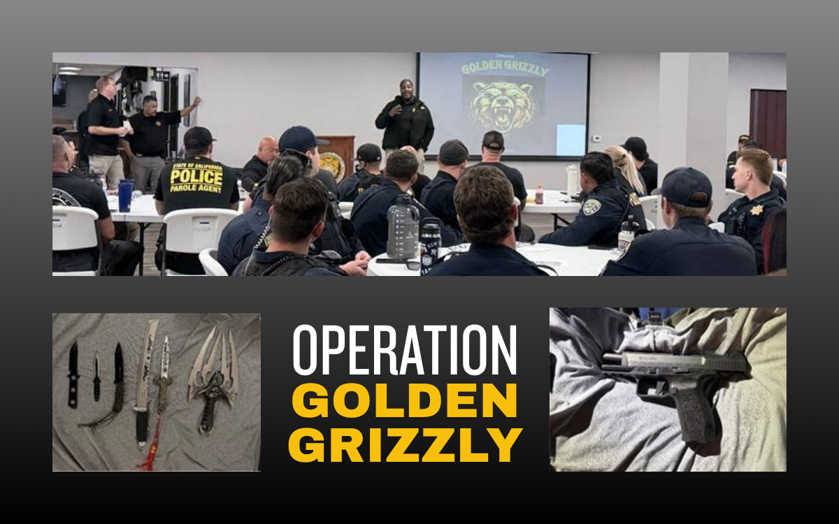 Division of Adult Parole Operations led Operation Golden Grizzly.