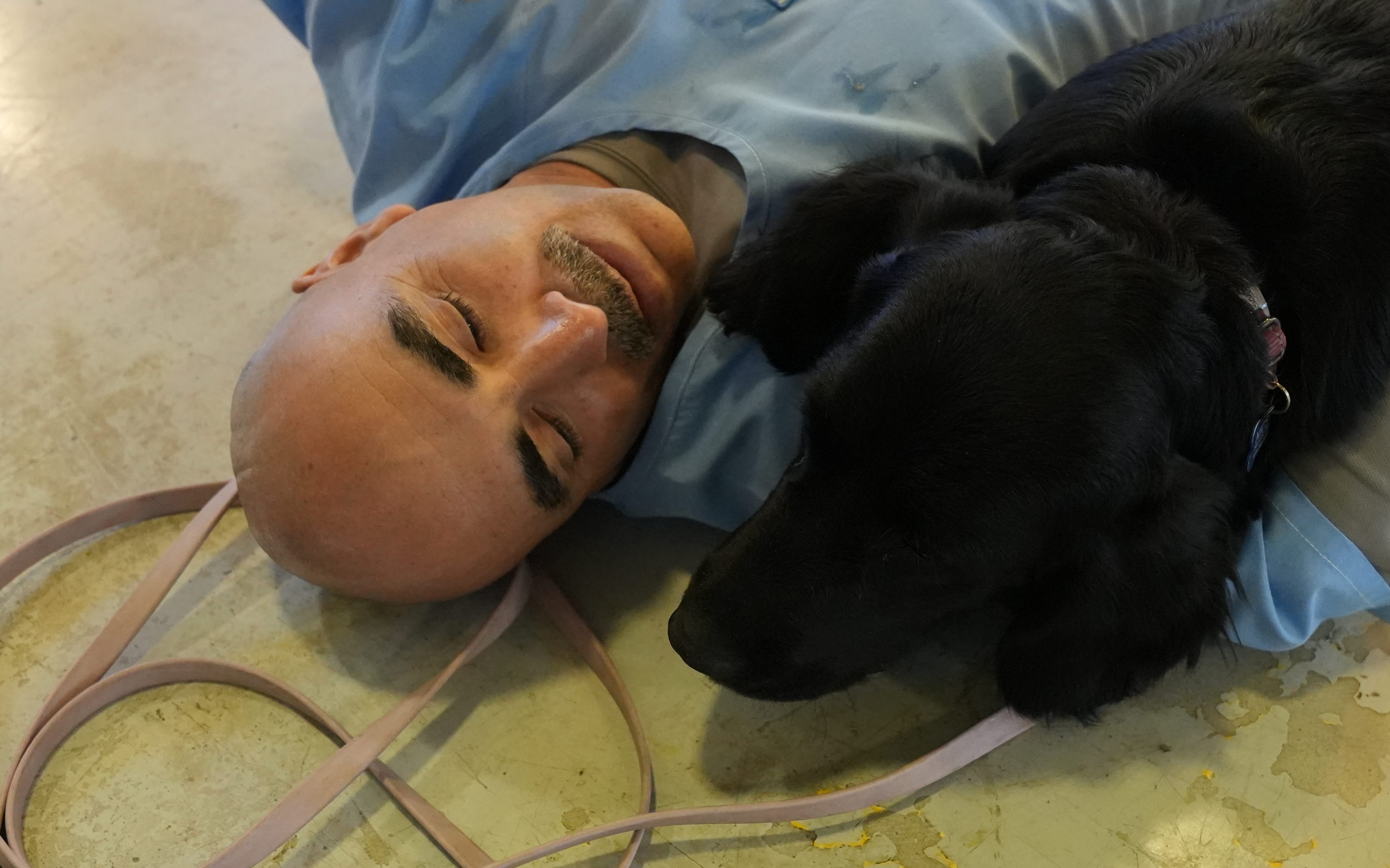 Francisco, an incarcerated trainer and a dog in the Paws on a Mission program at CSP-Solano.