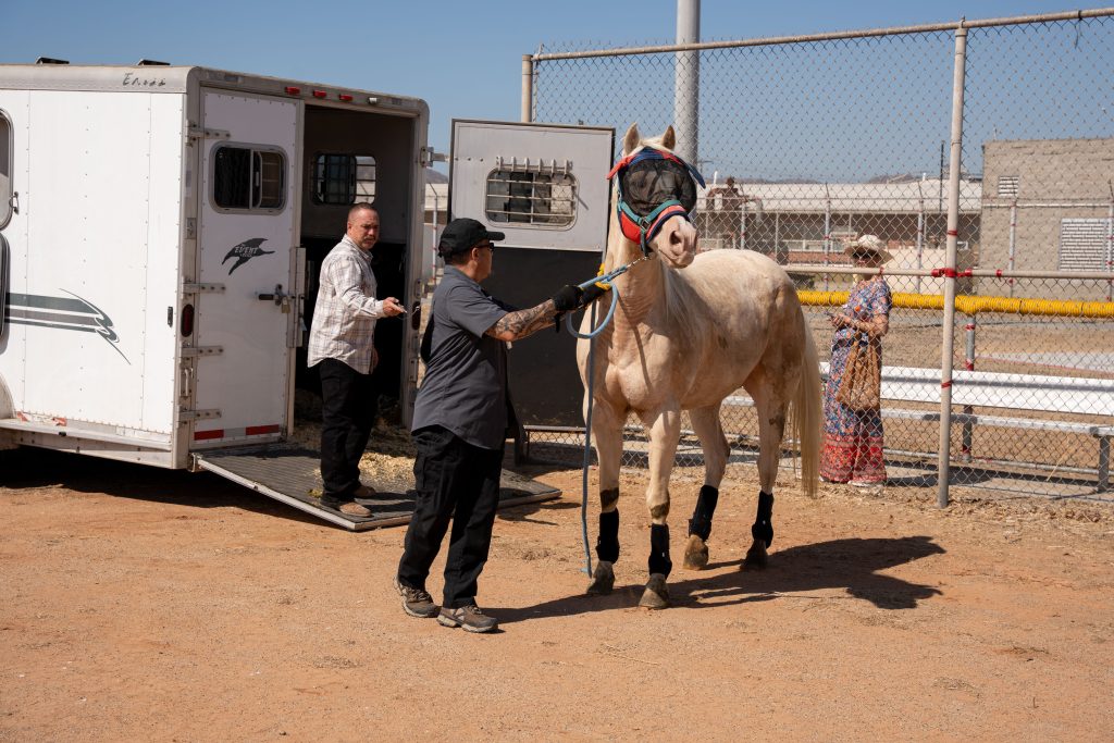 Handlers take horses out of trailers for a therapy program at CIW in Corona.
