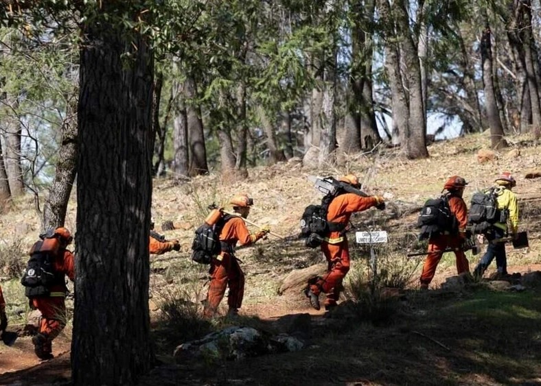 Incarcerated fire crew with gear at work