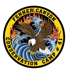 Fenner Conservation Camp #41 logo with bald eagle.