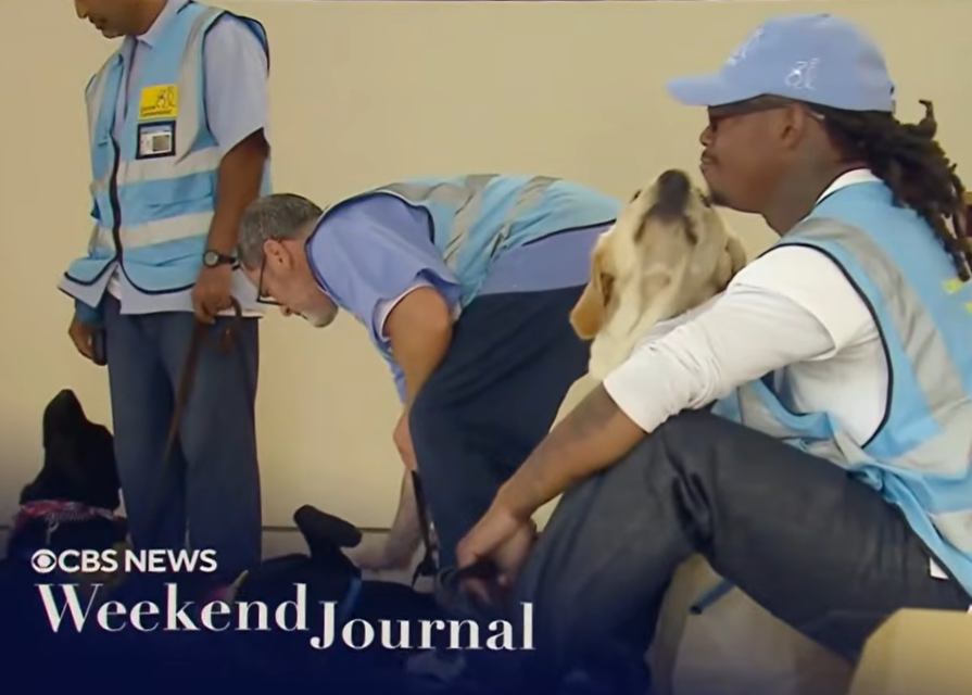 Incarcerated trainers with dogs in CBS feature image