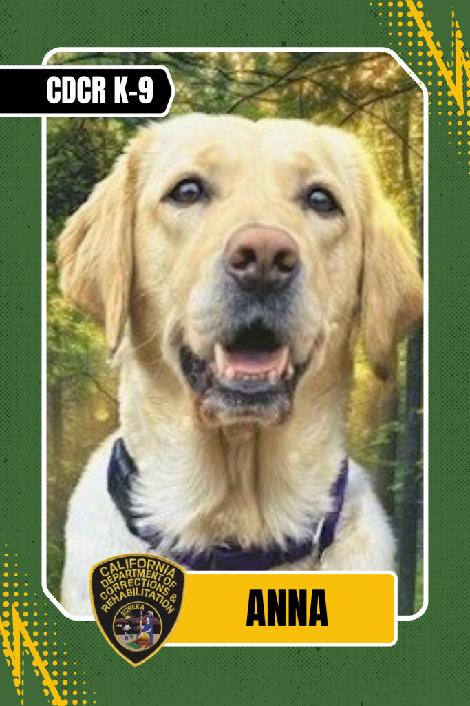 CDCR K-9 Officer card Anna