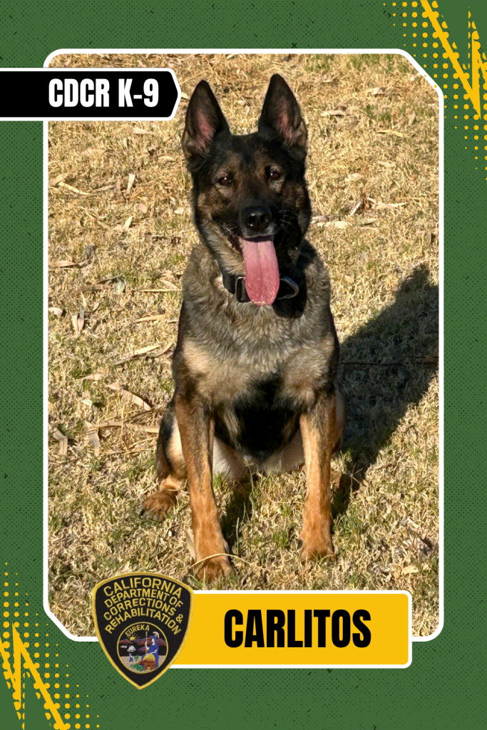 CDCR K-9 Officer Carlitos trading card.