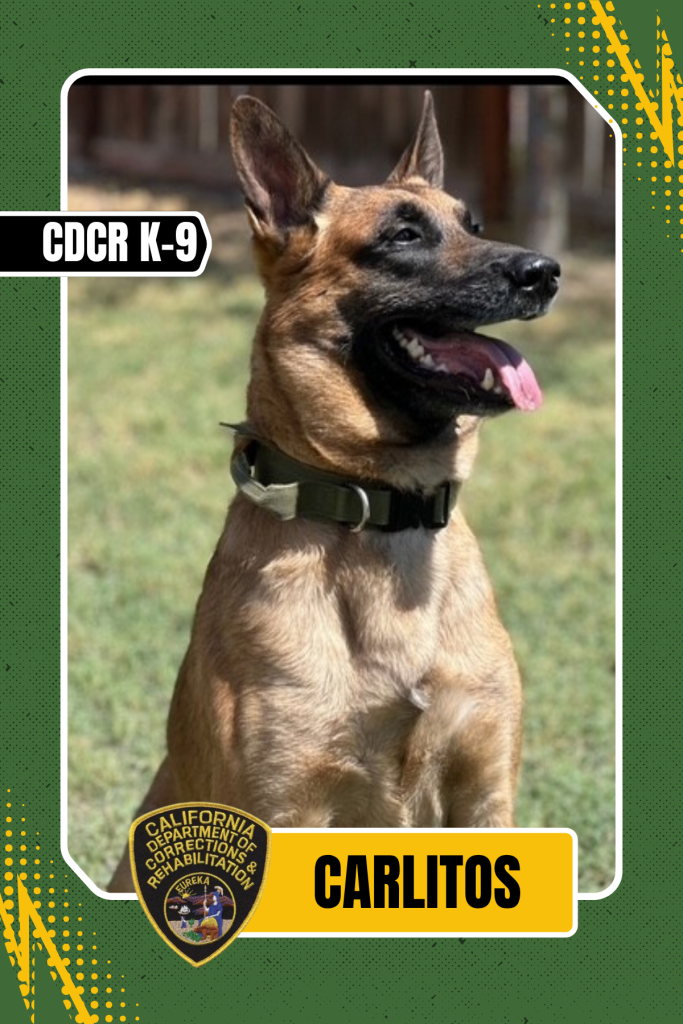 K-9 Officer card Carlitos