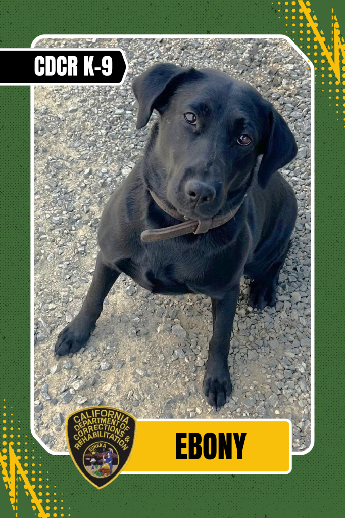 CDCR K-9 officer Ebony trading card