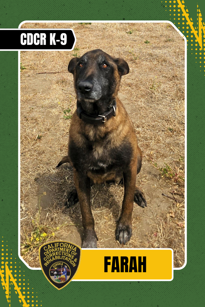 Farah, CDCR K-9 trading card.