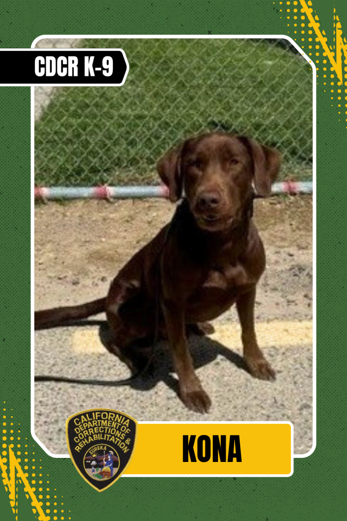 CDCR K-9 Officer Kona trading card.