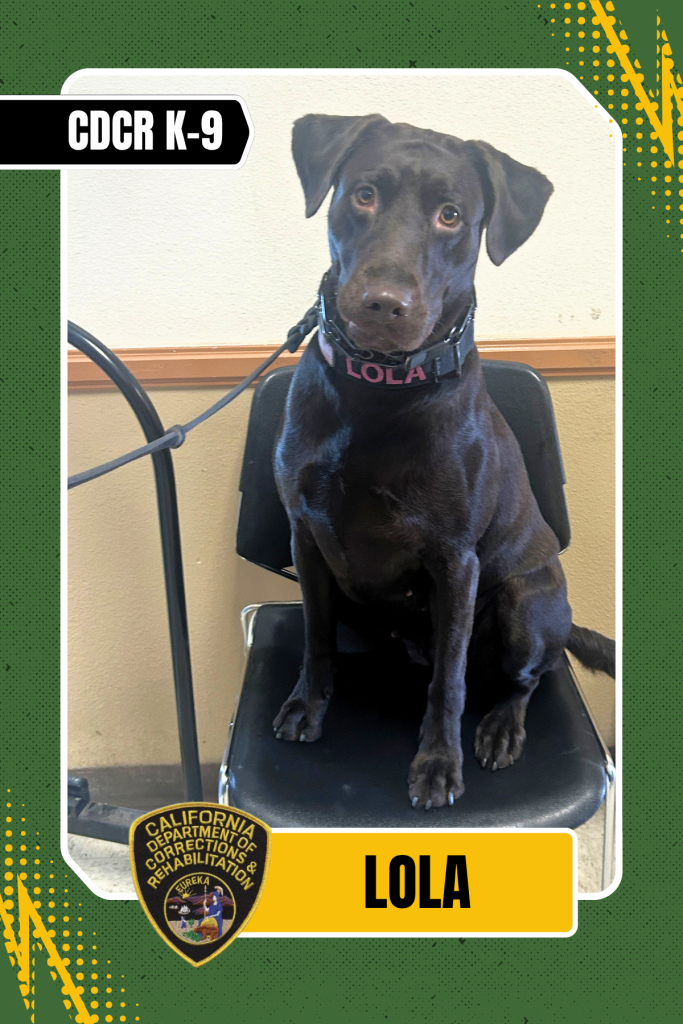 Lola, K-9 officer trading card style layout.