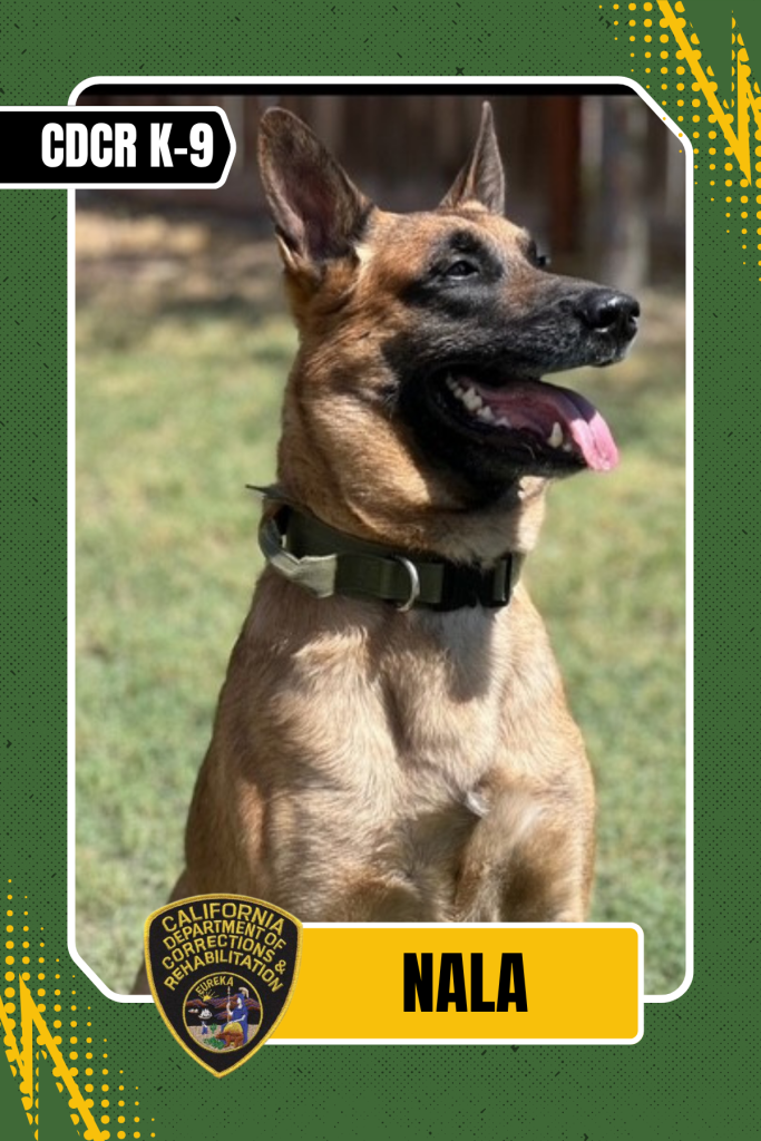 CDCR K-9 Officer Nala trading card.