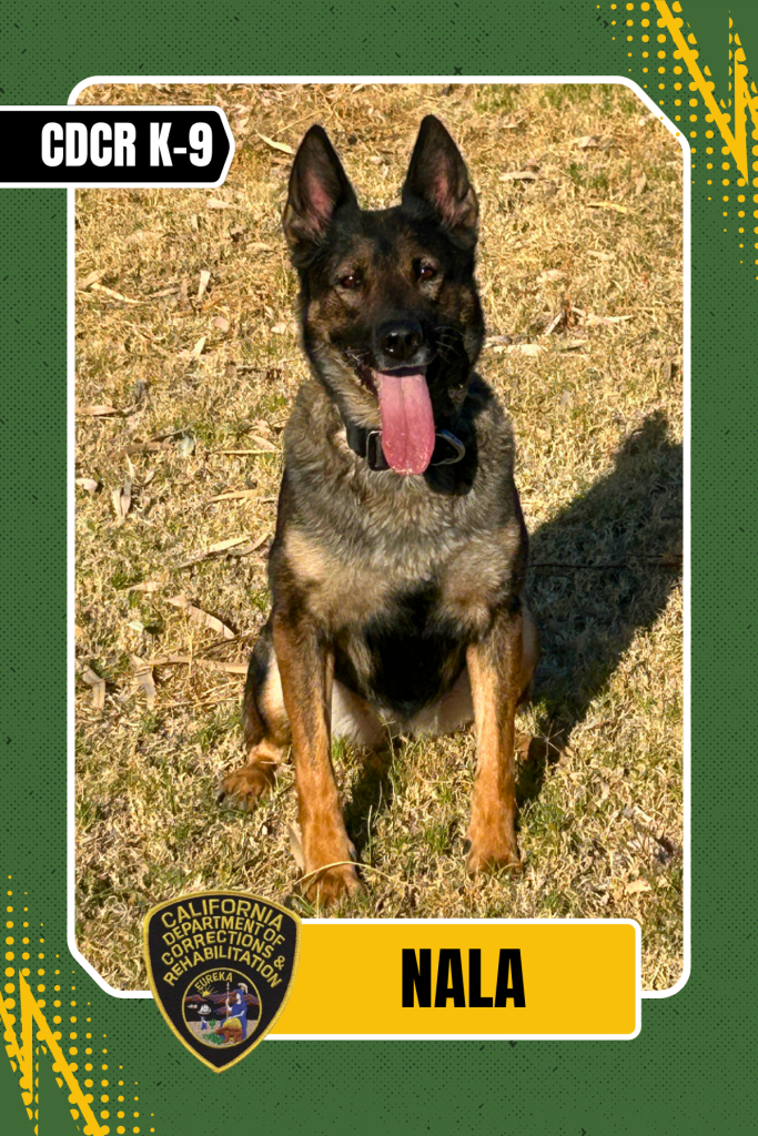 CDCR K-9 Nala trading card.