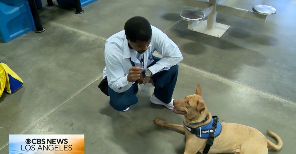 Incarcerated trainer with K9