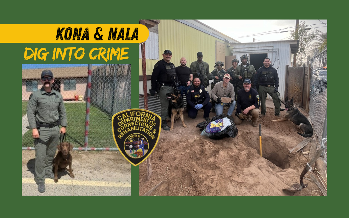 Kona and Nala are two CDCR K-9s.