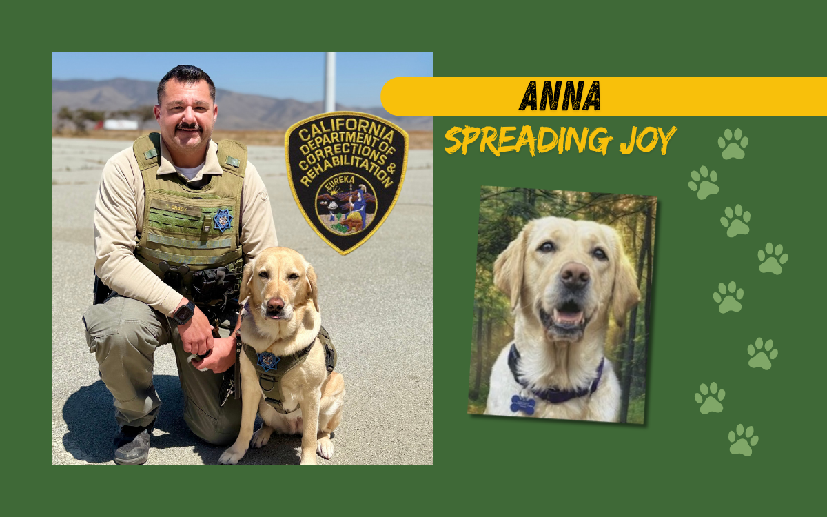 Anna, part of the Meet the CDCR K-9s series.