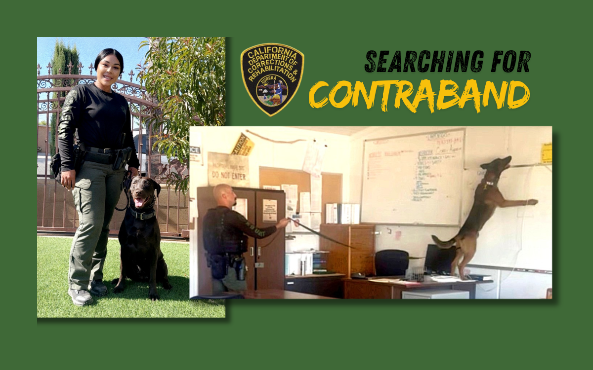 CDCR K-9s Kilo and Lola, with their handlers.