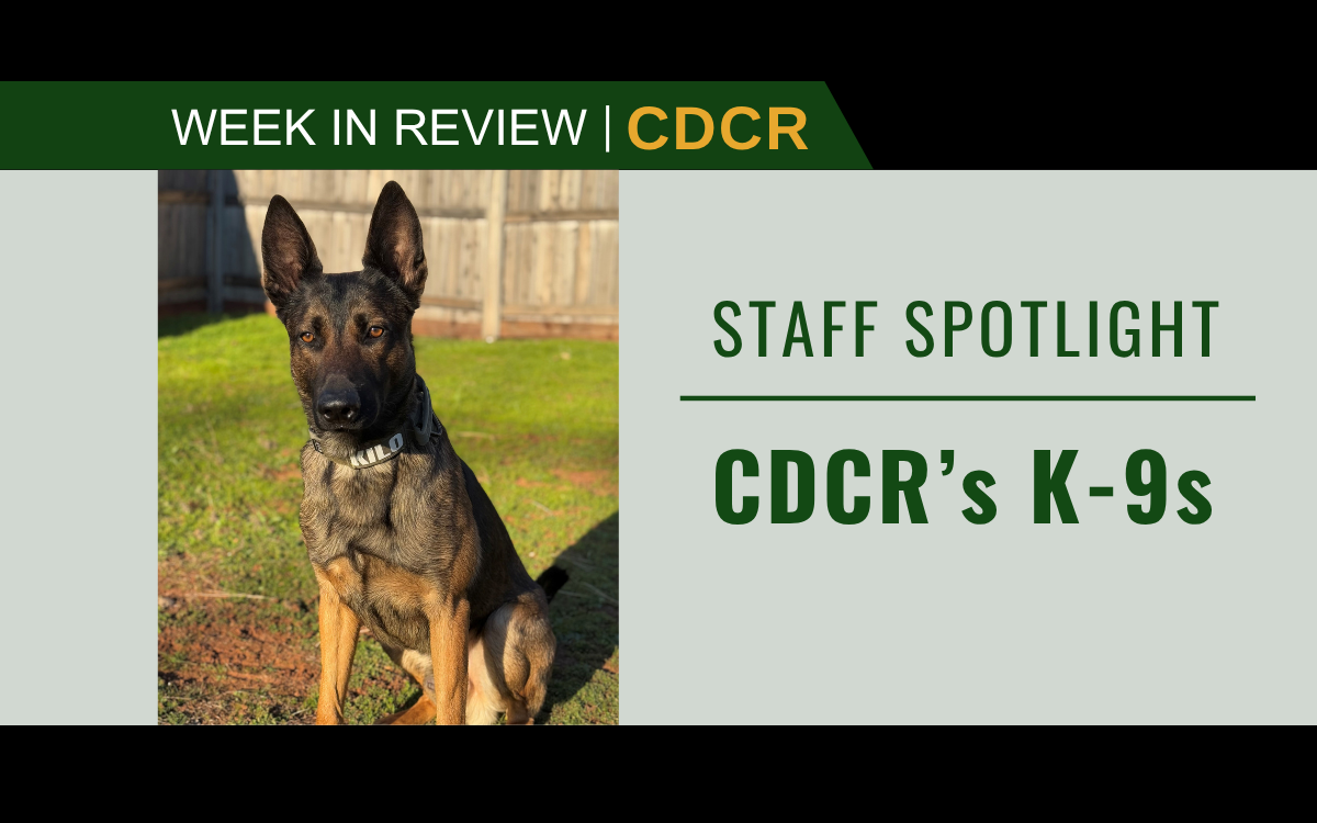 Week in Review Feature image with CDCR K-9