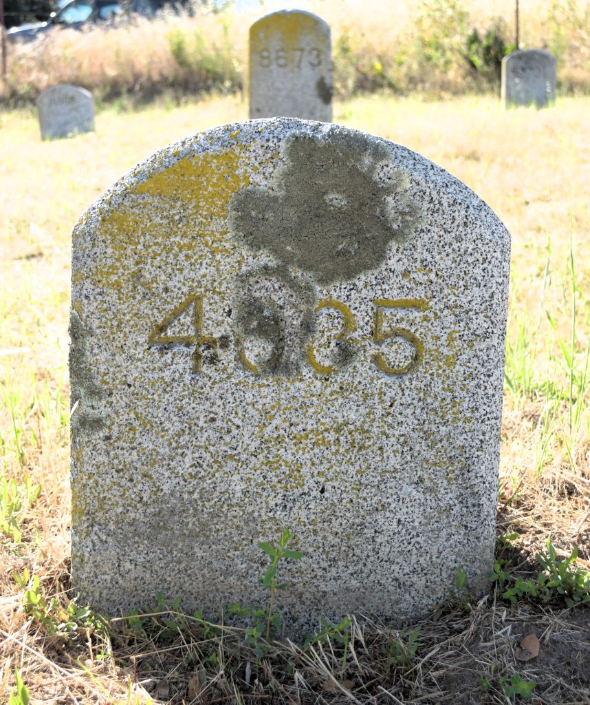 Grave marker for Berryessa at the Folsom State Prison cemetery with number 4305. Photo by El Dorado Hills Genealogical Society.