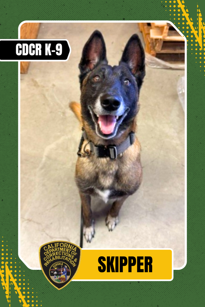 K-9 Officer Skipper in trading card style.