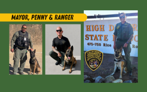 Mayor, Ranger and Penny with their correctional officer handlers for the Meet the CDCR K-9s series.