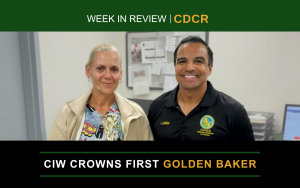 Week in Review feature image