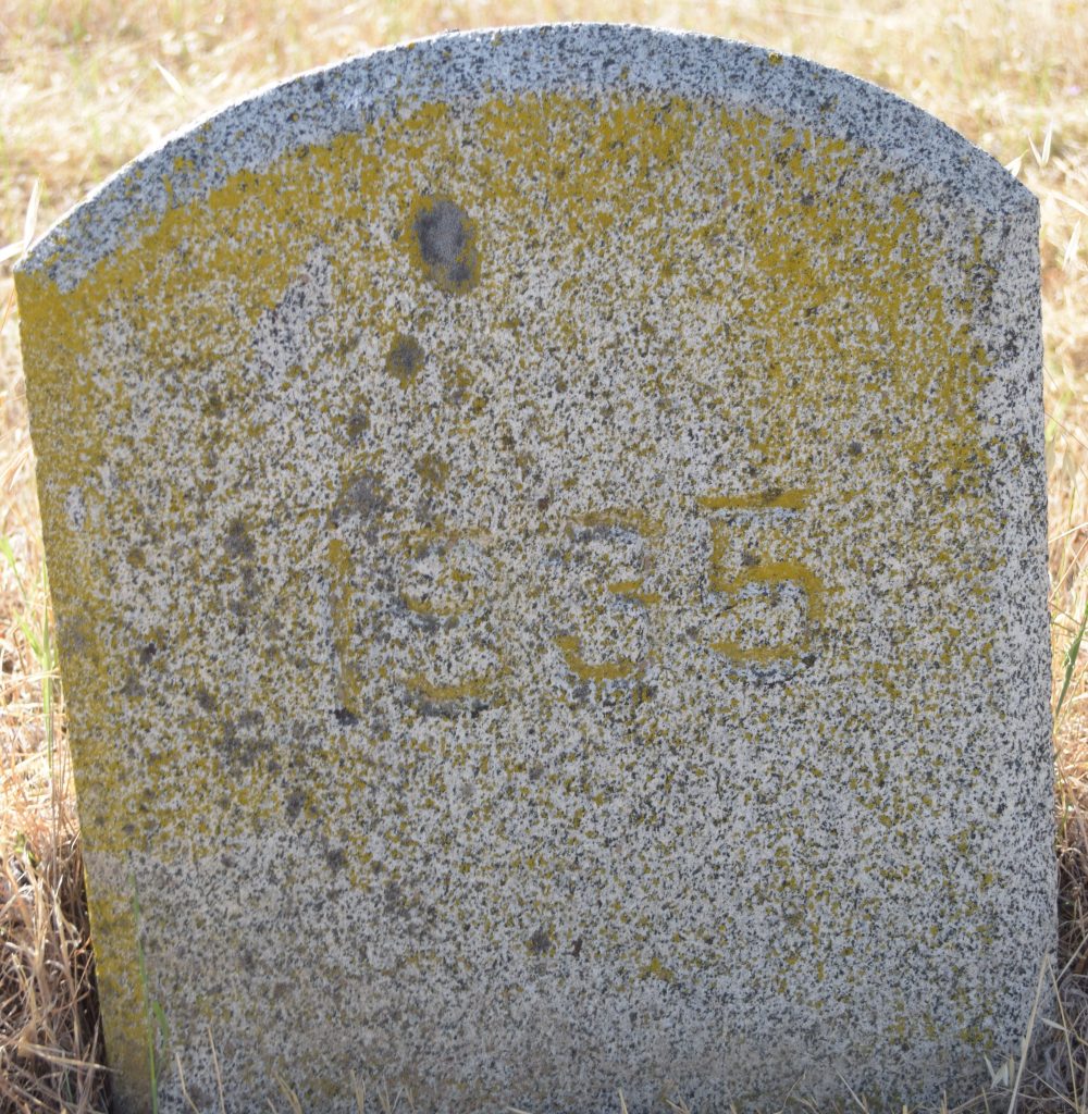 Grave marker with the number 1935.
