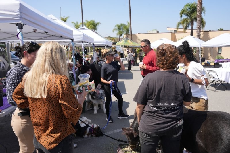 RJD staff pet the therapy animals.