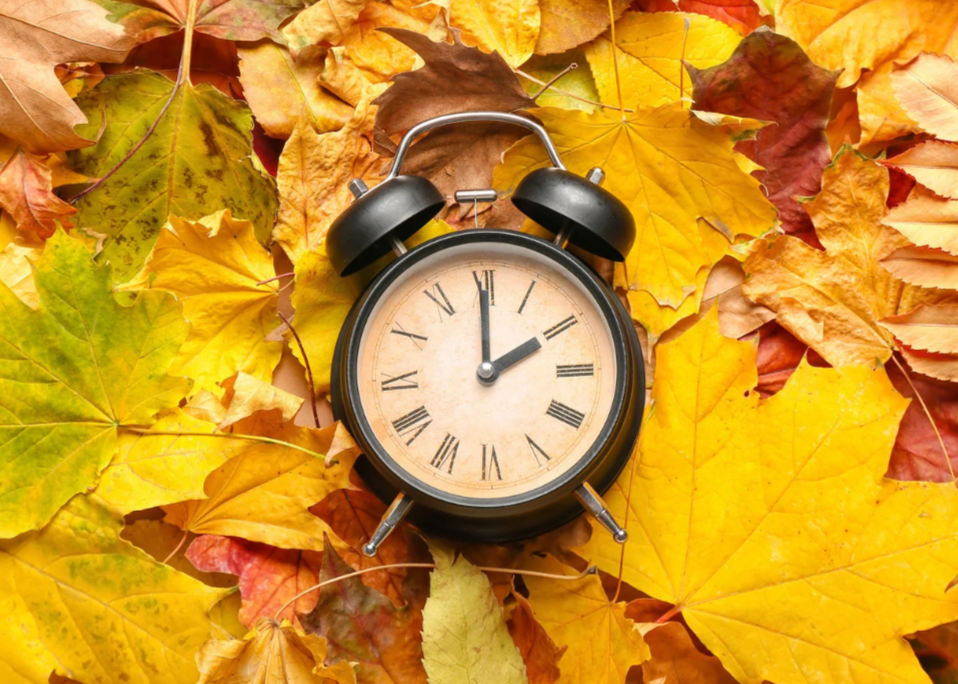Clock in fall leaves
