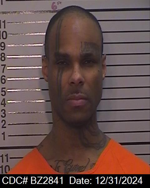 Dannunzio Patron BZ2841