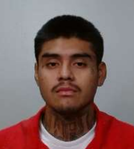 Fernando Camarillo-Cervantes