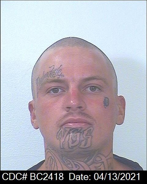 Jeremy-Rakisits-BC2418