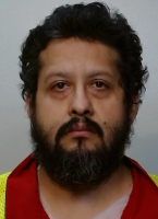 Front mugshot image of Milenkos  Lozano