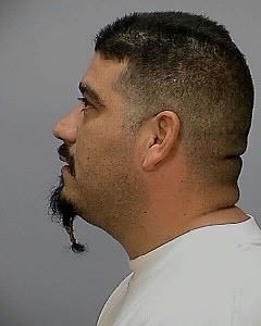 Side mugshot image of Sergio  Ahumada