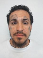 Front mugshot image of Devin  Lewis-bation