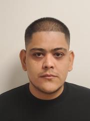 Front mugshot image of Rogelio  Coronado
